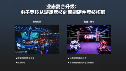 中國文化和科技融合發(fā)展戰(zhàn)略研究報(bào)告(2021)聚焦電競(jìng)信息科技