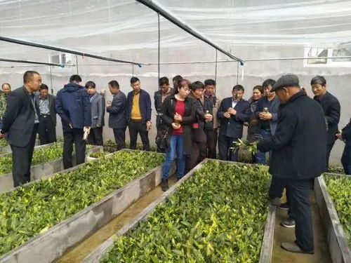 日照 揭榜制 評選建立8家市級農(nóng)業(yè)科技創(chuàng)新中心