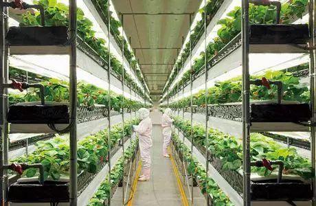 小小靚科技2017十大農(nóng)業(yè)科技盤點