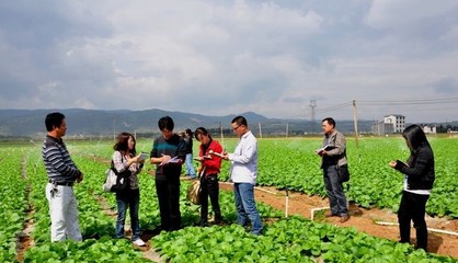 小農(nóng)戶如何生存?這5種模式推薦給你