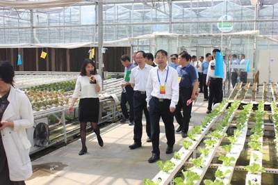 市人大常委會(huì)副主任法建強(qiáng)一行視察河南鄭州國(guó)家農(nóng)業(yè)科技園區(qū)核心區(qū)建設(shè)工作