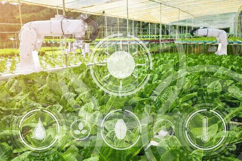 農(nóng)業(yè)科技社會(huì)化服務(wù)體系建設(shè)如何加強(qiáng)?七部門(mén)發(fā)文部署_推廣