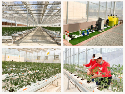 廣州市智慧農(nóng)業(yè)服務股份 &middot; 2022 年度十大回顧