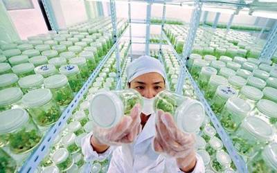 啥是高端農(nóng)業(yè)?有哪些創(chuàng)業(yè)方向