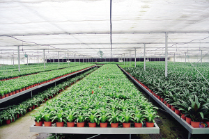 科技,讓現(xiàn)代農(nóng)業(yè)告別&ldquo;靠天吃飯&rdquo;