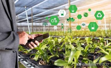 農(nóng)村致富新途徑,多元化發(fā)展與科技創(chuàng)新