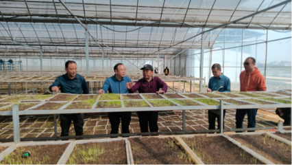 常德市| 石門縣農業農村局干部開展糧食生產大服務活動