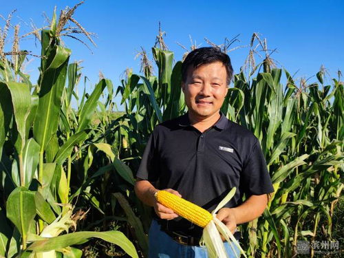 濱州國家農業科技園區玉米新品種選育項目榮獲市科技進步獎一等獎