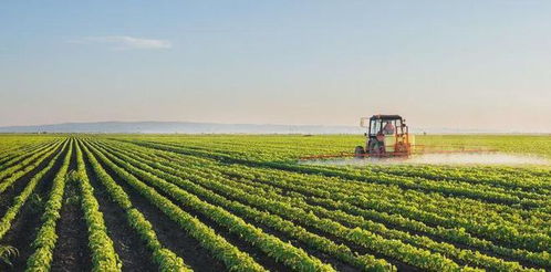 土特產(chǎn)4大商業(yè)模式 賣產(chǎn)品 賣服務(wù) 賣產(chǎn)業(yè)鏈