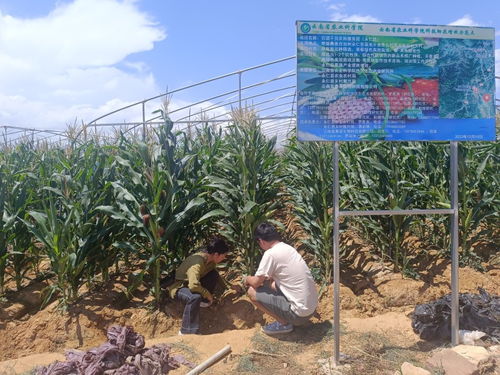 云南省農(nóng)業(yè)科學院官方網(wǎng)站 云南省農(nóng)科院