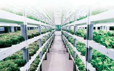 創新驅動!國家電投科技創新成果落地