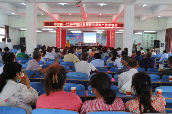 安徽省農科院水產所專家到六安市霍邱縣開展 服務精準脫貧 專家下基層 活動