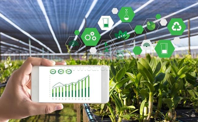 山地農業發展方向,智慧農業助力山地生態。