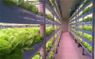 智能&rdquo;農業怎么發展?看日本玩轉&ldquo;智能&rdquo;農業!