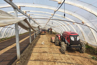 銅山區黃集鎮政協聯絡組在行動