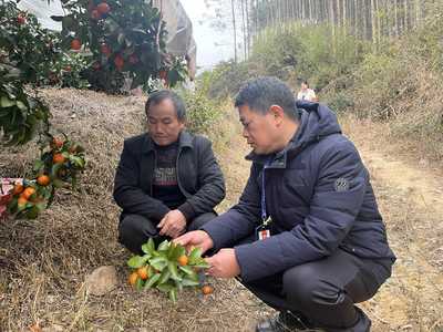 永?？h:迎春雨備春耕促春管