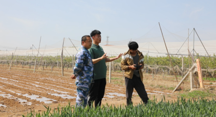 青島麗斌農(nóng)業(yè)綜合農(nóng)事服務(wù)中心 打通為農(nóng)服務(wù)&ldquo;最后一公里&rdquo;