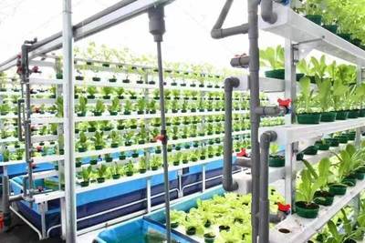 財政助力農(nóng)村綜合改革推動&ldquo;菜鄉(xiāng)&rdquo;變新樣