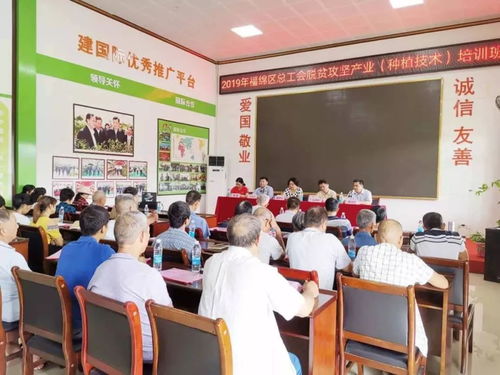 2019年中農富玉大事記 不忘初心,牢記使命,再創(chuàng)輝煌