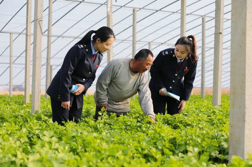 稅引擎 驅動智慧農業(yè)展開 豐收 畫卷 央廣網