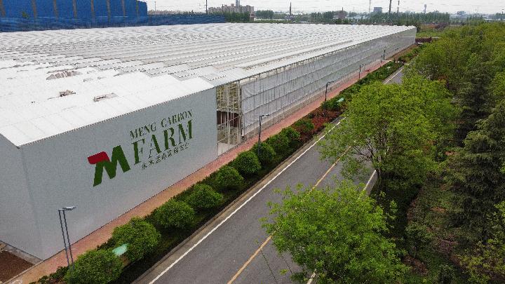 奮進新征程 建功新時代&middot;老區新貌丨太行山革命老區:&ldquo;紅綠交織&rdquo;繪就太行新畫卷