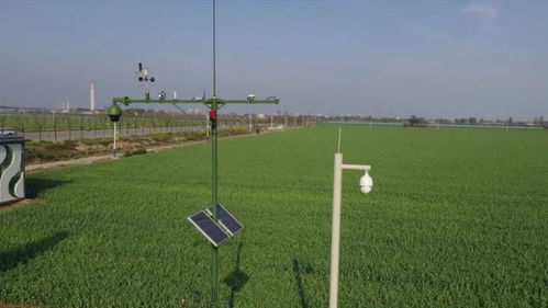 縣科技局 強化農(nóng)業(yè)科技服務 為鄉(xiāng)村振興添翼加速