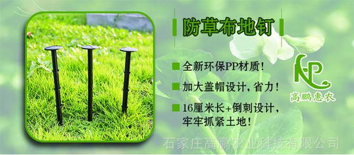PP單張打孔防草地布 現代農業科技服務的新銳工具