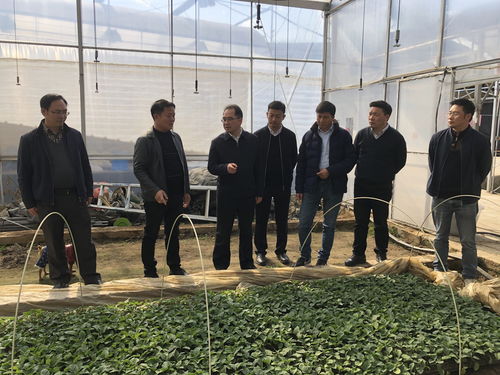 四川省農(nóng)業(yè)科學(xué)院牟錦毅院長(zhǎng)赴西昌市與米易縣調(diào)研 深化科技幫扶助力鄉(xiāng)村振興